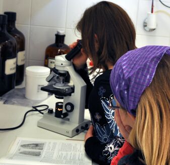 Das Mikroskop der Perau-Apotheke