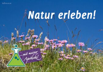 Natur erleben - Almwiese mt Blumen - Perau Apotheke